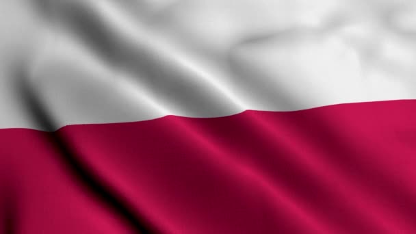 Polonya Bayrağı Polonya Nın Saten Kumaş Desenli Bayrağını Sallıyor Boyutlu — Stok video