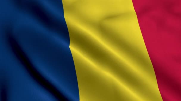 Roménia Bandeira Acenando Tecido Cetim Textura Bandeira Romênia Ilustração Bandeira — Vídeo de Stock