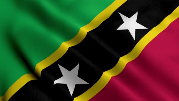 Saint Kitts Nevis Flag Integető Szövet Szatén Textúra Zászló Saint — Stock videók
