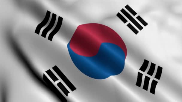 Bandera Corea Del Sur Bandera Textura Raso Tela Ondulada Corea — Vídeos de Stock