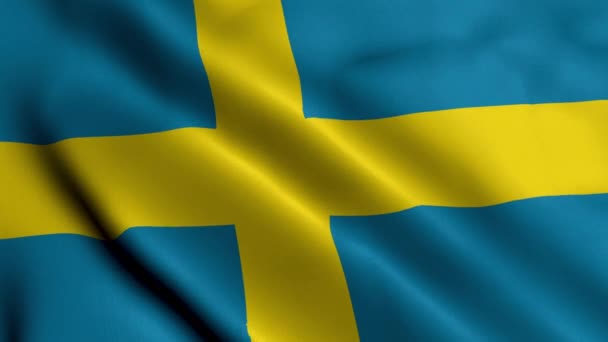 Bandeira Suécia Acenando Tela Cetim Textura Bandeira Suécia Ilustração Real — Vídeo de Stock