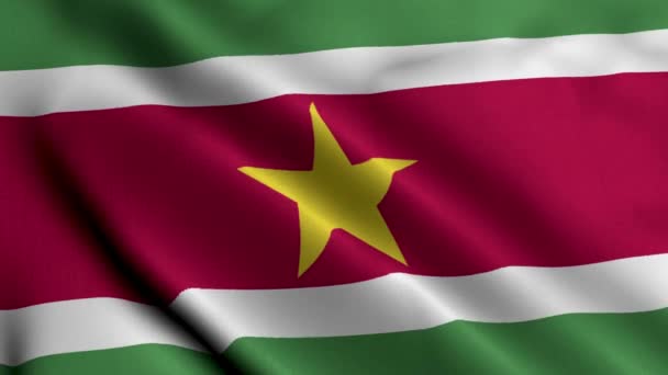 スリナム フラグ スリナム3Dイラストのファブリックサテンテクスチャフラグを編みます スリナム共和国の本当のテクスチャの旗 ビデオ — ストック動画