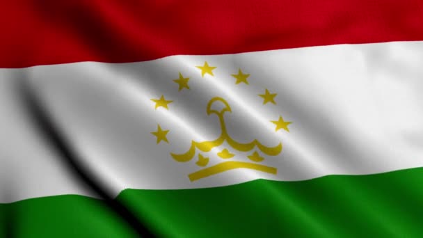Tacikistan Bayrağı Tacikistan Saten Kumaş Desenli Bayrağını Sallıyor Tacikistan Cumhuriyeti — Stok video