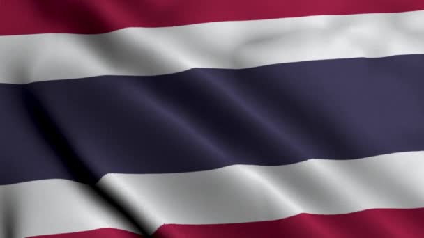 泰国国旗 泰国波浪面料缎子纹理旗3D图解 泰王国真正的纹理标志4K视频 — 图库视频影像