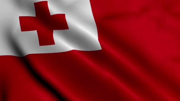 Tonga Bayrağı Tonga Nın Saten Kumaş Desenli Bayrağını Sallıyor Tonga — Stok video