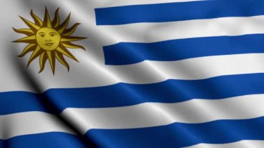 Uruguay Bayrağı. Uruguay 'ın Saten kumaş desenli bayrağını sallıyor. Uruguay Doğu Cumhuriyeti 'nin Gerçek Doku Bayrağı 4K Video