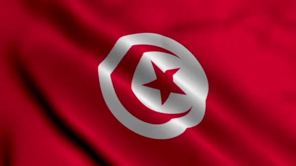 Tunisien Flagga Viftande Tyg Satin Textur Flagga Tunisien Illustration Real — Stockvideo