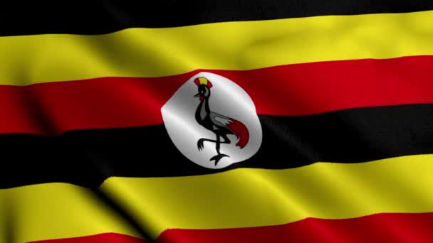 Ugandská Vlajka Vlnění Tkaniny Satén Textura Vlajka Uganda Ilustrace Real — Stock video