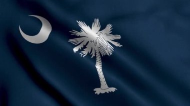 Güney Carolina Eyalet Bayrağı. Güney Carolina 'nın Saten kumaş desenli ulusal bayrağını sallıyor. Amerika Birleşik Devletleri 'nde Güney Carolina Eyaleti' nin Gerçek Doku Bayrağı. ABD. Yüksek Ayrıntılı Bayrak Canlandırması