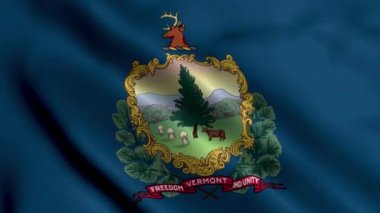 Vermont Eyalet Bayrağı. Vermont 'un Saten kumaş desenli ulusal bayrağını sallıyor. Amerika Birleşik Devletleri 'nde Vermont Eyaleti' nin Gerçek Doku Bayrağı. ABD. Yüksek Ayrıntılı Bayrak Canlandırması