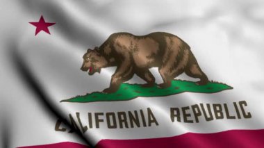 Kaliforniya Eyalet Bayrağı. Kumaş kumaş dokusu Ulusal Bayrak sallama California 3D Illustration. Amerika Birleşik Devletleri 'nde Kaliforniya Eyaletinin Gerçek Doku Bayrağı. ABD. Yüksek Ayrıntılı Bayrak Canlandırması