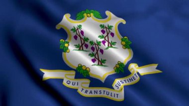Connecticut Eyalet Bayrağı. Connecticut 'ın Saten kumaş desenli ulusal bayrağını sallıyor. Amerika Birleşik Devletleri 'nde Connecticut eyaletinin gerçek doku bayrağı. ABD. Yüksek Ayrıntılı Bayrak Canlandırması