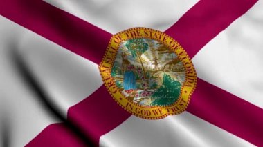 Florida Eyalet Bayrağı. Florida 'nın Saten kumaş desenli ulusal bayrağını sallıyor. Amerika Birleşik Devletleri 'nde Florida Eyaleti' nin Gerçek Doku Bayrağı. ABD. Yüksek Ayrıntılı Bayrak Canlandırması