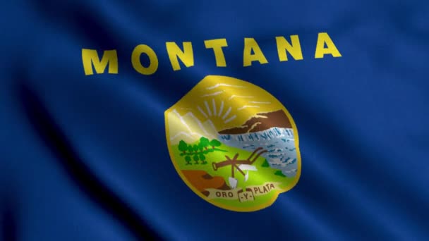 Флаг Штата Монтана Размахивая Атласной Текстурой Ткани Национальный Флаг Монтаны — стоковое видео