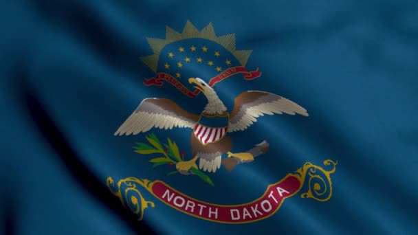 North Dakota State Flagge Waving Fabric Satin Texture National Flag — Stockvideo