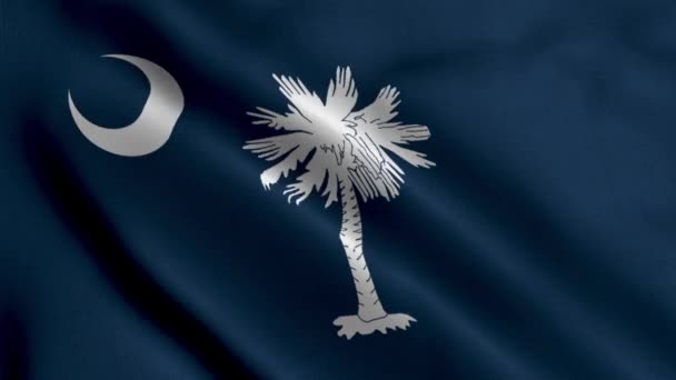 南卡罗来纳州旗 南卡罗来纳州飘扬的面料缎子面料国旗3D图解 美国南卡罗来纳州真正的纹理旗 高度详细的旗帜动画 — 图库视频影像