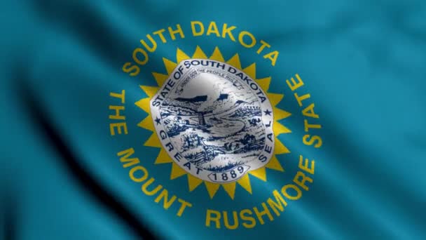 Zuid Dakota State Flag Wuivende Stof Satijn Textuur Nationale Vlag — Stockvideo