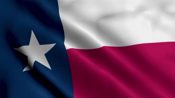 德克萨斯州旗 波纹织物缎子纹理德州国旗3D图解 美国得克萨斯州真实纹理旗 Real Texture Flag State Texas 高度详细的旗帜动画 — 图库视频影像