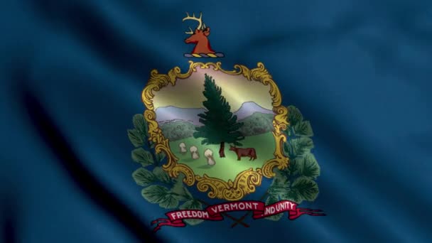 Flagge Des Bundesstaates Vermont Waving Fabric Satin Texture National Flag — Stockvideo