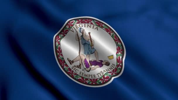 弗吉尼亚州旗 波动的面料缎子面料国旗维吉尼亚3D插图 美利坚合众国维吉尼亚州真正的纹理旗 高度详细的旗帜动画 — 图库视频影像