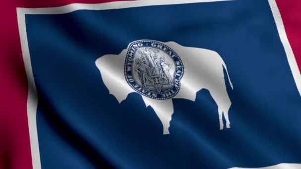 Wyomingská Státní Vlajka Vlnění Tkaniny Satén Textura Národní Vlajka Wyoming — Stock video