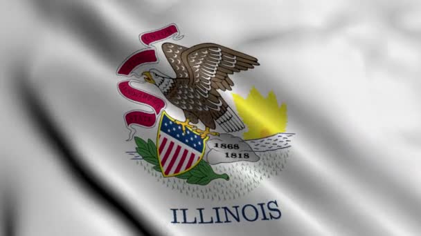 伊利诺伊州旗 摇曳的面料缎子纹理伊利诺伊州国旗3D图解 美国伊利诺伊州真正的纹理旗 高度详细的旗帜动画 — 图库视频影像