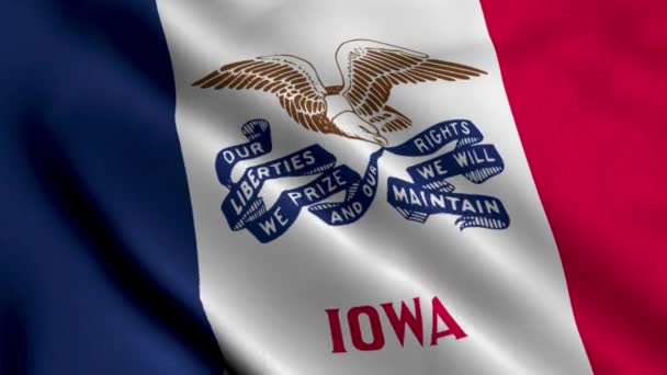 Iowa State Flag Waving Fabric Satin Texture National Flag Iowa — Stockvideo