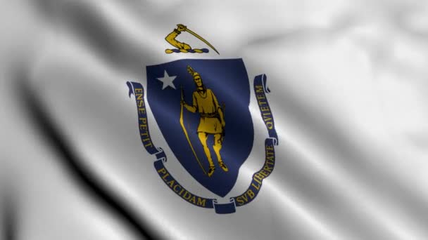 Massachusetts Eyalet Bayrağı Massachusetts Saten Kumaş Desenli Ulusal Bayrağını Sallıyor — Stok video