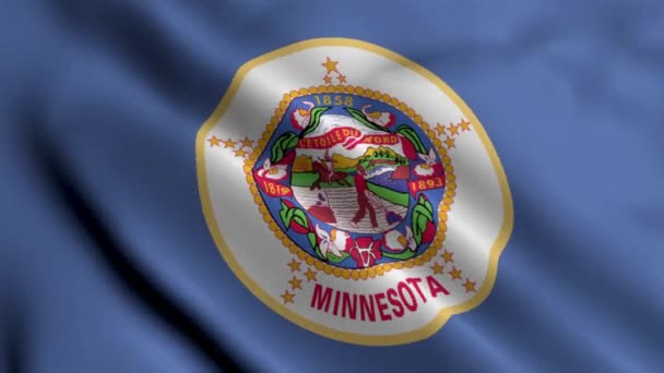 明尼苏达州国旗 飘扬的面料缎子纹理国旗明尼苏达州3D图解 美国明尼苏达州真实纹理旗 Real Texture Flag State Minnesota 高度详细的旗帜动画 — 图库视频影像