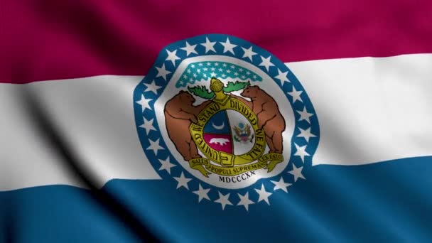 ミズーリ州旗 織物サテンテクスチャ ミズーリ州の国旗3Dイラスト アメリカ合衆国のミズーリ州の本物のテクスチャーフラッグ アメリカ フラグ アニメーション — ストック動画