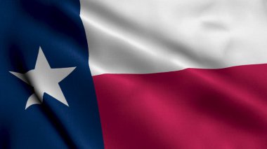 Teksas bayrağı. Texas 'ın Saten kumaş desenli ulusal bayrağını sallıyor. Amerika Birleşik Devletleri 'nde Teksas Eyaletinin Gerçek Doku Bayrağı. ABD. Yüksek Ayrıntılı Bayrak Canlandırması
