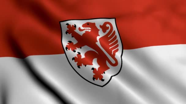 Braunschweig Stadtstaatenflagge Waving Fabric Satin Texture National Flag Braunschweig Illustration — Stockvideo