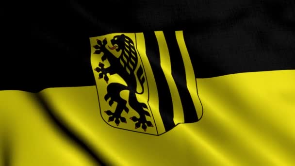Dresde City State Flag Alemania Tela Ondulada Satén Textura Bandera — Vídeo de stock