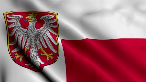 Frankfurts Statsflagga Tyskland Vifta Tyg Satin Textur National Flag Frankfurt — Stockvideo