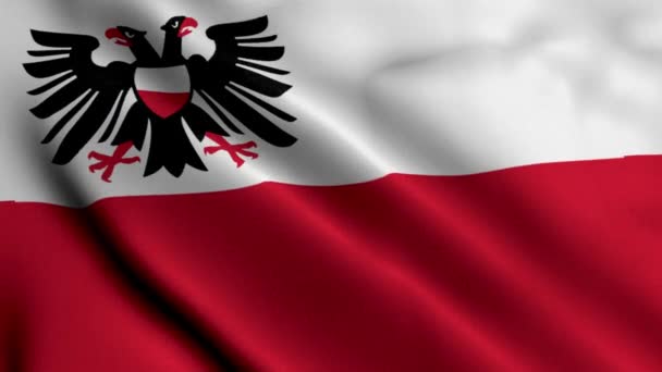 ルベック市国旗 ドイツ 織物サテンテクスチャ ルベック3Dイラストの国旗 ドイツのルベック市のハンザティックシティの本物のテクスチャの旗 フラッグ アニメーション — ストック動画