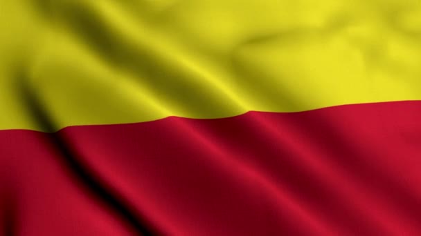 Штат Мюльберг Германия Размахивая Атласной Текстурой Ткани Национальный Флаг Mulheim — стоковое видео