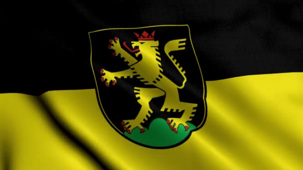 Государственный Флаг Гейдельберга Германии Ожидании Текстуры Сатина Настоящий Текстурный Флаг — стоковое видео