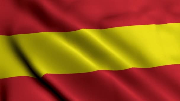 Государственный Флаг Карлсруэ Германии Размахивая Атласной Текстурой Ткани Национальный Флаг — стоковое видео