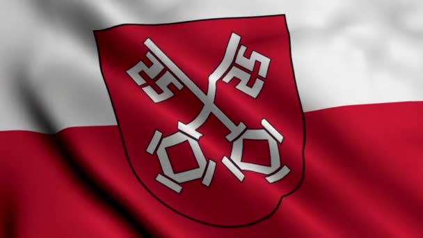Bandeira Estado Cidade Regensburg Alemanha Acenando Tecido Satin Texture Bandeira — Vídeo de Stock