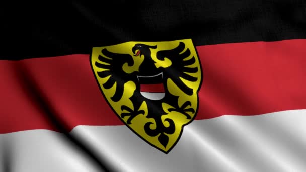 Bandiera Stato Della Città Reutlingen Germania Tessuto Ondulante Satin Texture — Video Stock