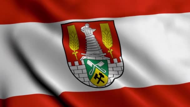 Bandeira Estado Cidade Salzgitter Alemanha Acenando Tecido Satin Texture Bandeira — Vídeo de Stock