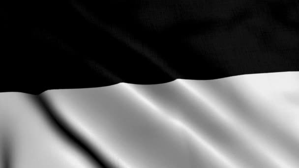 Ulm City State Flag Alemania Tela Ondulada Satén Textura Bandera — Vídeos de Stock