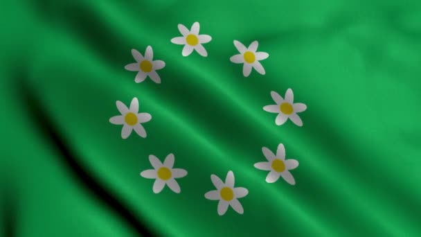 Bandera Ciudad Raasepori Finlandia Tela Ondulada Satén Textura Bandera Nacional — Vídeos de Stock