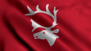 Trondheim Belediyesi Norveç Bayrağı. Trondheim 3D İllüstrasyon 'un Norveç Ulusal Bayrağı' nı sallıyor. Norveç 'teki Trondheim Belediyesinin Gerçek Doku Bayrağı.