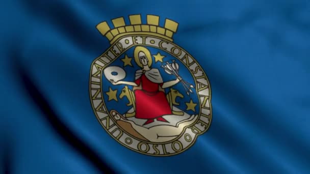 ノルウェーのオスロ市旗 織物サテンテクスチャ ノルウェー国旗オスロ3Dイラスト ノルウェーのオスロ市の本物のテクスチャの旗 — ストック動画