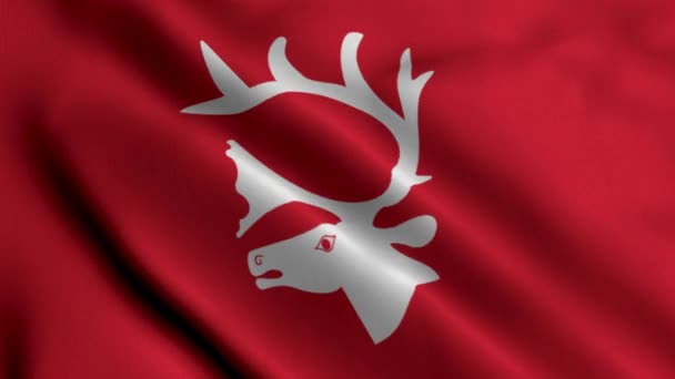 Bandera Del Municipio Trondheim Noruega Textura Raso Tela Ondulada Bandera — Vídeos de Stock