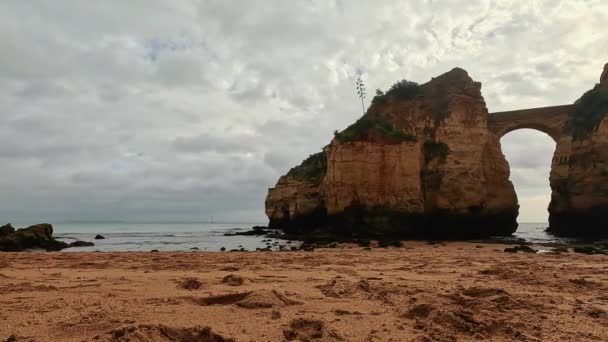 Ponta Piedade Rocks Lagos Algarve Portugal Cliff Rocks Seagulls Tourist — Stock Video