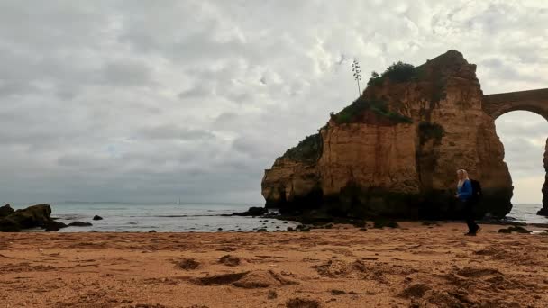 Ponta Piedade Rocks Blisko Lagos Algarve Portugalia Skały Klifowe Mewy — Wideo stockowe