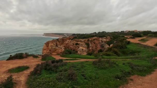Ponta Piedade Rocas Cerca Lagos Algarve Portugal Cliff Rocks Seagulls — Vídeos de Stock