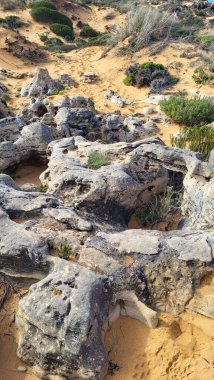 Portekiz, Alentejo Sahili 'nde siyah bazalt kayalıklı Almograve Plajı. Rota Vicentina 'nın ayak izlerinde. Yürüyüş Balıkçı Yolu.